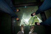 From The CN Tower